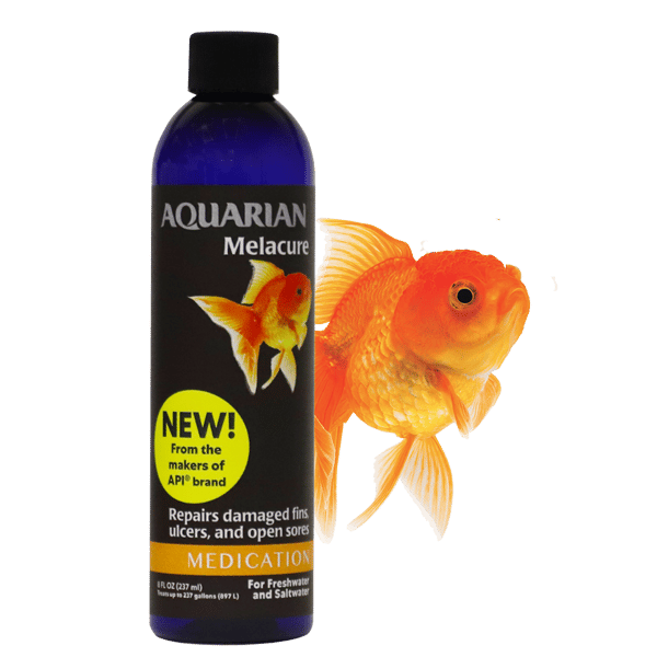 Tropical deals fish treatment